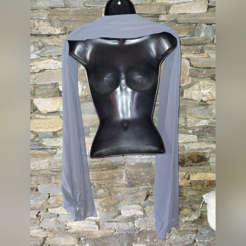 Patra NWT formal gown and scarf, size 8 pale purple sleeveless - Picture 4 of 14